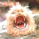 Image for article titled Have Video Games And Computer Graphics Killed Puppets?